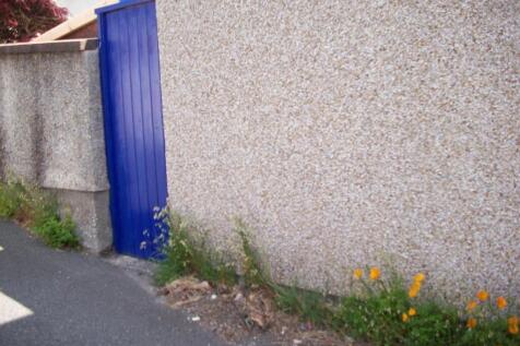 1 Caradog Door With Poppies.JPG