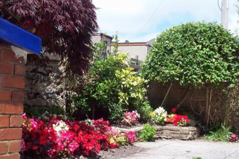 1 Caradog 100_8726.JPG