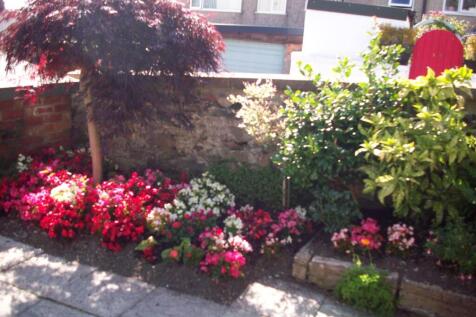 1 Caradog 100_8730.JPG