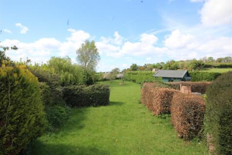 IMG_9370.JPG
