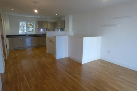 Kitchen/Living Ro...