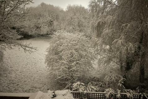 13 garden view.jpg