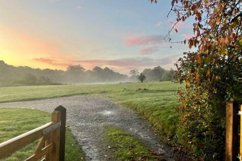 Early morning from the gate