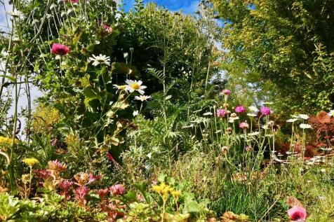 Summer gardens to enjoy