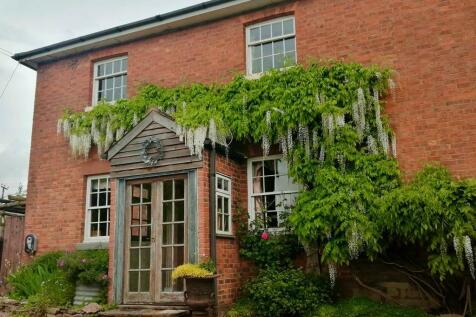 Porch and beautiful wisteria