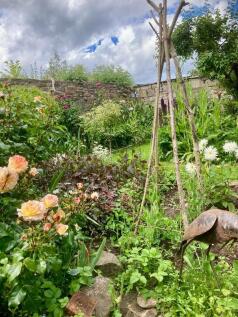 Section of the garden in the summer