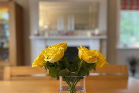 Dining room!