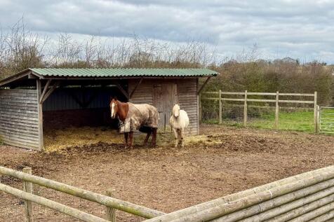 Large outdoor shelter for horses