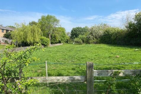 Lush paddock