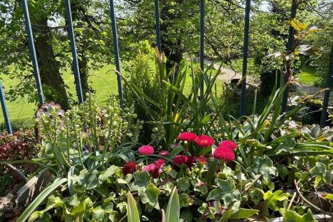 Patio over looking the garden
