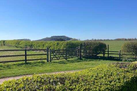 View from rear garden