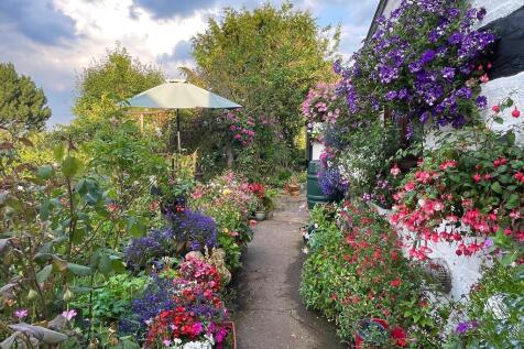 Delightful cottage garden