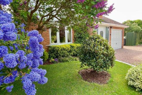Garden in bloom