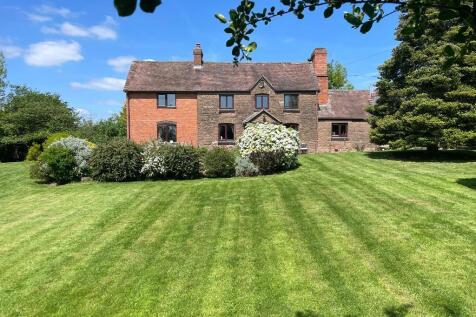 Look at that lawn!