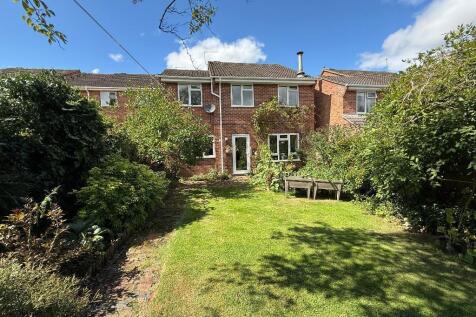 Sunny rear garden