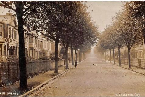 Park Avenue back in the day.