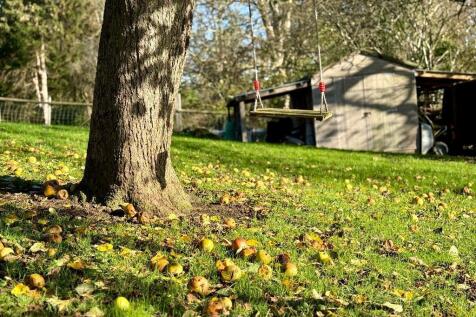 Swing anyone? Can you push me!