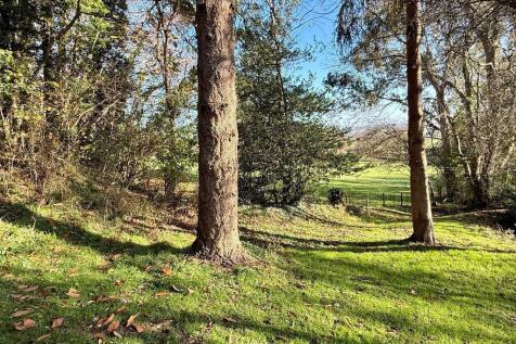 Magical land for children to romp