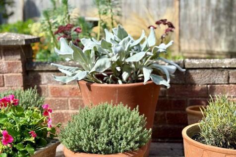 Pots and garden