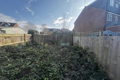 IMG_5741.jpeg