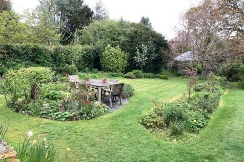 garden 2.jpg