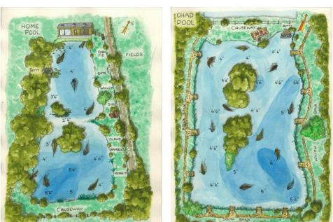 Chad Lakes fishery maps.PNG