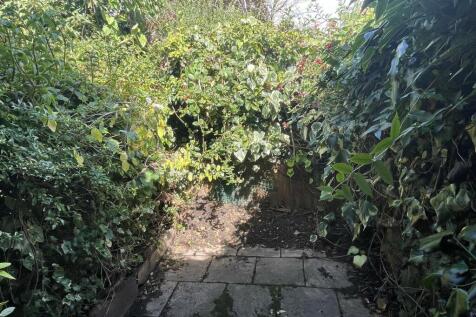 Garden.JPG