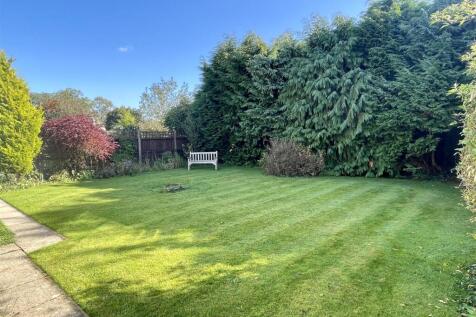 Garden.JPEG