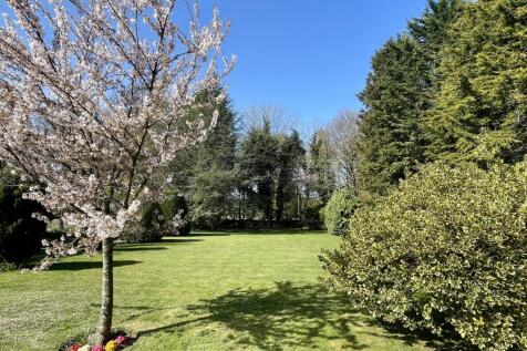 Front garden.JPEG