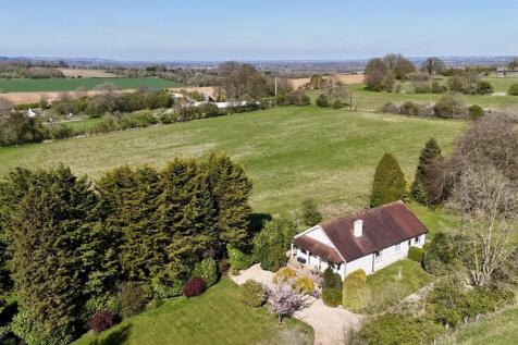 Sunset View photo.JPEG