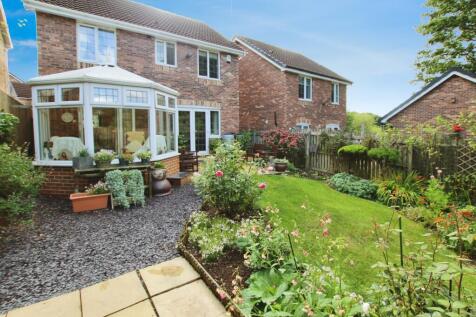 Property Image 24