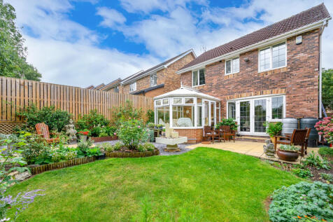 Property Image 32