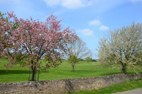 View from front garden