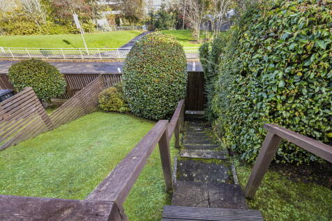 58-print-60 The D...