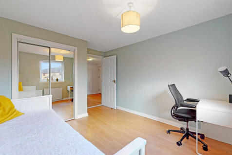 24-print-31 Napie...