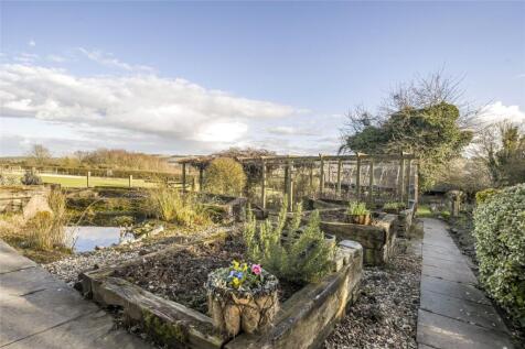 Garden and Pond