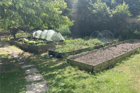 Veg Patch