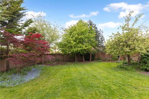 Back Garden