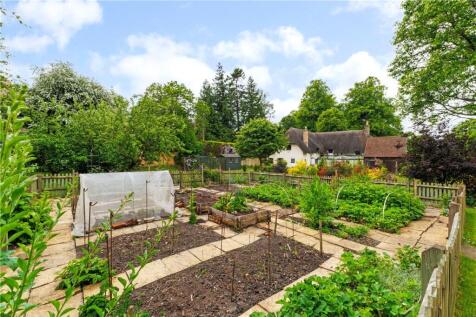 Vegetable Garden