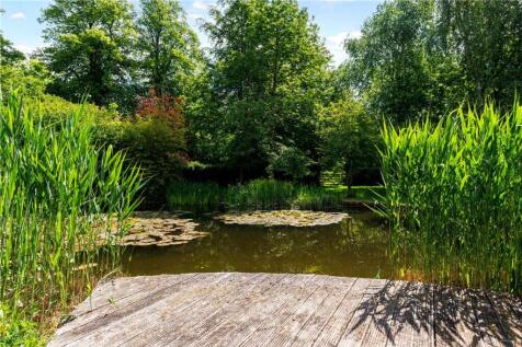 Pond