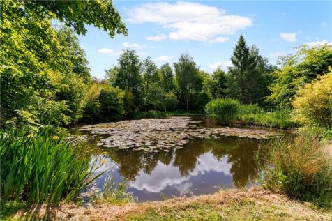 Pond