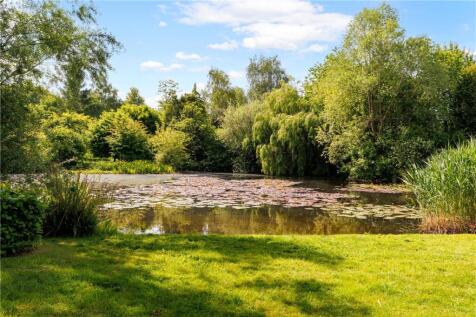 Garden / Pond