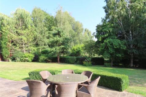 Terrace and Lawn