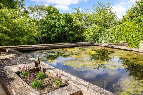 Pond