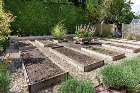 Vegetable Garden