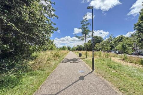 Walks along the River Taff