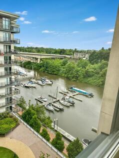 Water Views