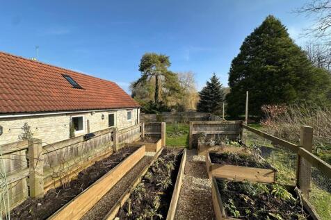 veg patches.jpg