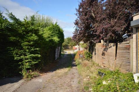 Rear Lane