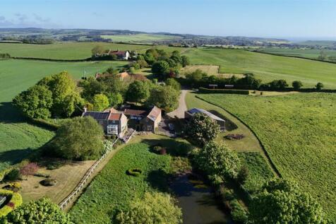 DJI_20250513081720_0273_D.JPG